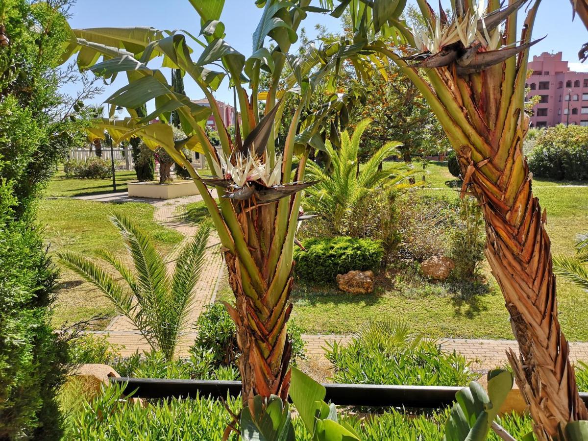 Jardines De Isla Canela, Planta Baja. Dış mekan fotoğraf
